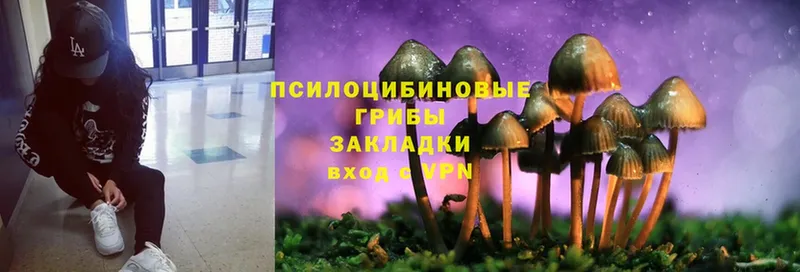 Галлюциногенные грибы Magic Shrooms  ссылка на мегу ТОР  Полярные Зори 